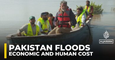 Floods submerge towns in Pakistan’s Punjab, thousands of farms and crops lost