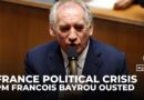 French government collapses after PM Bayrou ousted in confidence vote