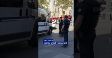 French police kill man suspected of knife attack in Marseille | DW News