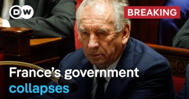 French Prime Minister Bayrou loses confidence vote | DW News