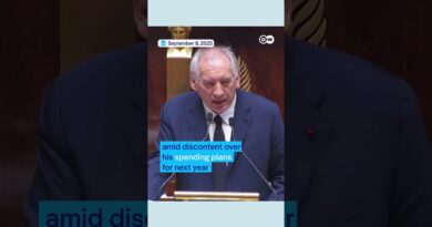 French Prime Minister Bayrou ousted in confidence vote | DW News