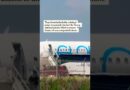 Guatemalan Children Are Removed From Plane as Judge Halts Deportations