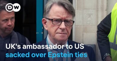 How close was the relationship between Peter Mandelson and Jeffrey Epstein? | DW News