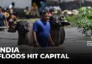 India flood damage: Crops damaged and livelihoods destroyed