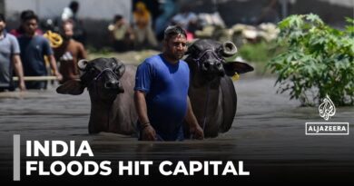 India flood damage: Crops damaged and livelihoods destroyed
