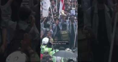 Indonesian military deployed to quell violent protests | DW News