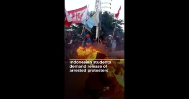 Indonesian students demand release of arrested protesters | AJ #shorts
