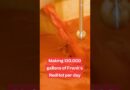 Inside the unique process used to make 130,000 gallons of Frank’s RedHot per day. #hotsauce #spicy
