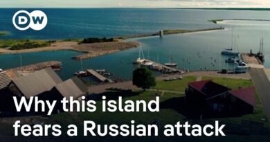 Island Hiiumaa off Estonia fears Russian attack as NATO conducts training exercices | DW News