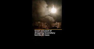 Israel accused of using drones to drop incendiary bombs in Gaza | AJ#shorts