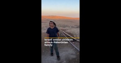 Israeli settler children assault Palestinian family | AJ #shorts