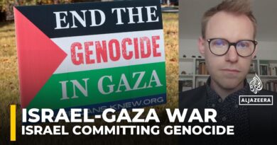 Israel’s actions in Gaza meet legal definition of genocide, scholars group says