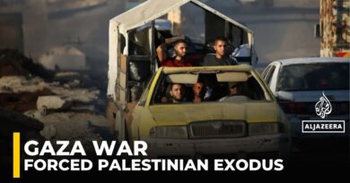 Israel’s plan to push Palestinians out of Gaza puts Egypt in a ‘very delicate situation’