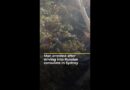 Man arrested after driving into Russian consulate in Sydney | AJ shorts