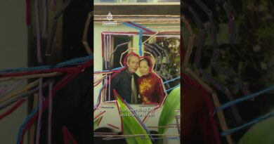 Mr Cuong’s Banyan Tree | DigiDocs Shorts