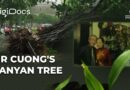 Mr Cuong’s Banyan Tree: Life in Vietnam One Year After Typhoon Yagi | DigiDocs