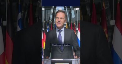 NATO chief condemns Russian airspace violation | DW News