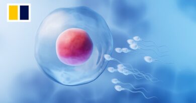 New AI tool could pave way for more effective fertility treatments