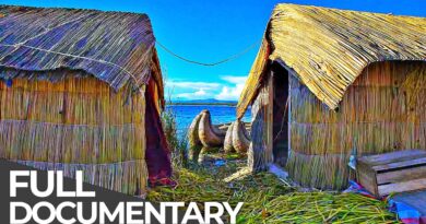 No Land, No Road, Just Reeds: Life on a Reed Island | Habitats of the World: Peru | Free Documentary
