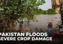 Pakistan flooding: Nearly 4 million people affected by punjab flooding
