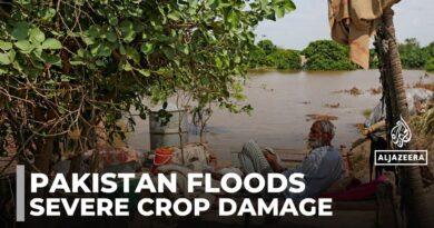 Pakistan flooding: Nearly 4 million people affected by punjab flooding