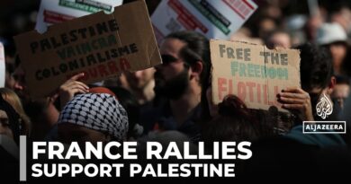 Paris protesters demand end to Israel’s assault, call for Palestinian recognition