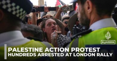 Police make mass arrests at Palestine Action rally outside UK Parliament