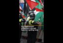 Pro-Palestinian protesters disrupt Spanish cycling race | AJ #shorts