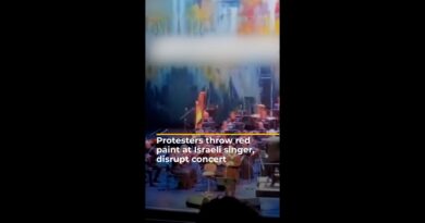 Protesters throw red paint at Israeli singer, disrupt concert