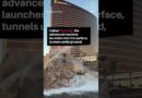 Prufrock spotted bursting through the ground near Las Vegas Boulevard