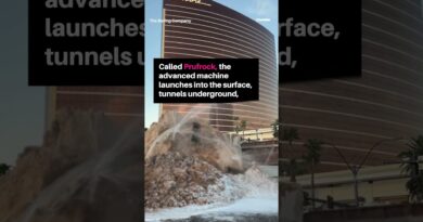 Prufrock spotted bursting through the ground near Las Vegas Boulevard
