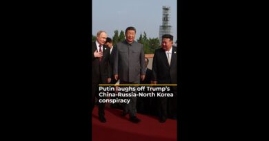 Putin waves off Trump’s Russia-China-North Korean conspiracy comments | #ajshorts