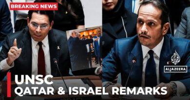 Qatar warns UNSC against ‘silence before the law of the jungle’