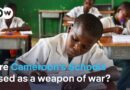 Rebel groups spread terror ahead of Cameroon’s election | DW News