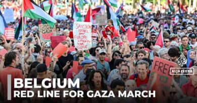 Red Line for Gaza March: Massive pro-Palestine protest in Brussels