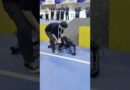 Robot falls flat during obstacle course!