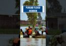 #Shorts | Punjab floods: 29 dead, 6,000 displaced as rivers overflow, 1,300 villages hit | Monsoon