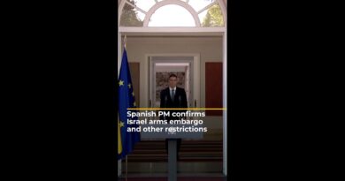 Spanish PM confirms Israel arms embargo and other restrictions | AJ #shorts