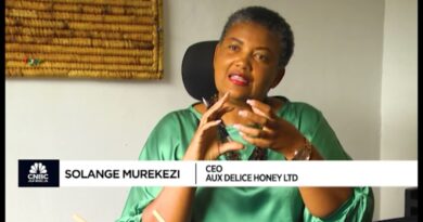 Sweet horizons: Rwanda’s honey for the world