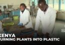Tackling an environmental crisis: Kenyan start up turns water hyacinth to bioplastic