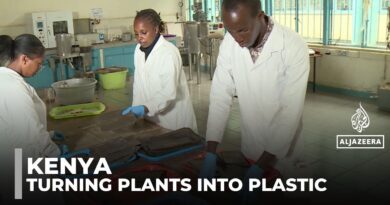 Tackling an environmental crisis: Kenyan start up turns water hyacinth to bioplastic