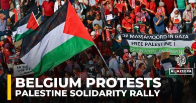 Tens of thousands protest in Brussels, demanding end to Israel’s genocide on Gaza