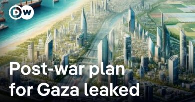 The main points in the leaked plan for Gaza | DW News