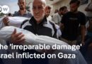 “There will never, never be a safe space in Gaza again – even after the war is over” | DW News
