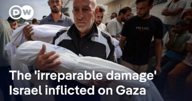 “There will never, never be a safe space in Gaza again – even after the war is over” | DW News