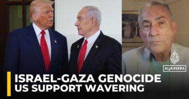 Trump ‘will realise that he was cheated’ by Netanyahu over Gaza: Gideon Levy