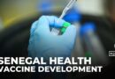 UK pledges $18m to vaccine research in Senegal after US funding cuts