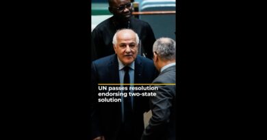 UNGA backs resolution on two-state solution for Israel and Palestine | AJ #shorts