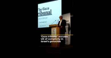 Unofficial Gaza tribunal accuses UK of complicity in Israel’s genocide | AJ #shorts