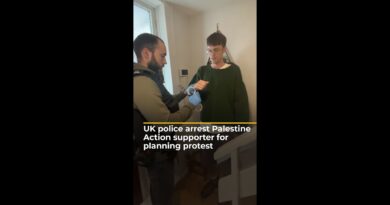 Watch UK police arrest Palestine Action supporter for planning protest | AJ #shorts